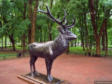 Квест-фотобродилка по Смоленску с ребенком
