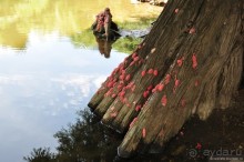 Ноябрь — это лето в Буэнос-Айресе