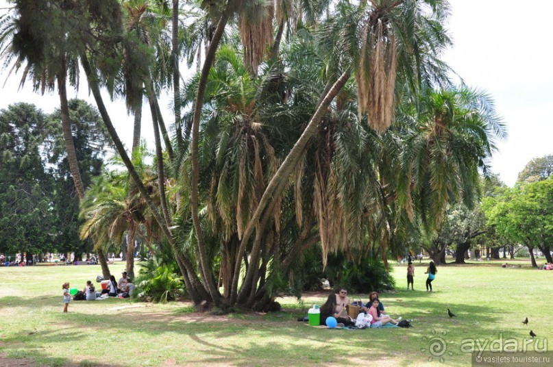 Ноябрь — это лето в Буэнос-Айресе