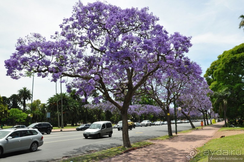 Ноябрь — это лето в Буэнос-Айресе