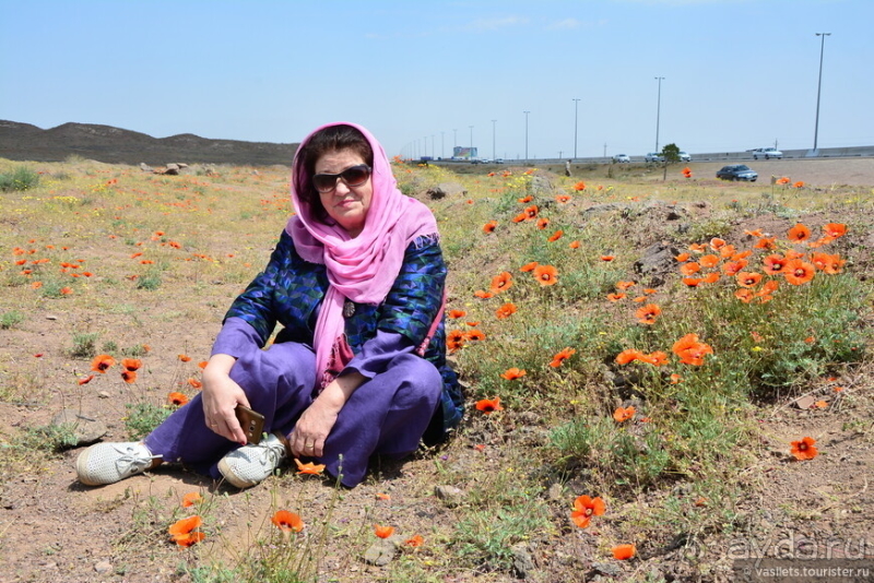 Долгий путь в Персию