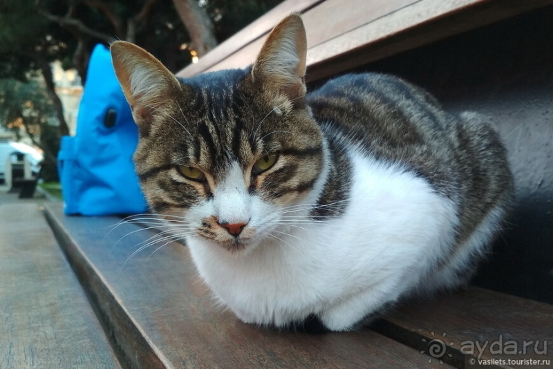 Долгий путь в Персию