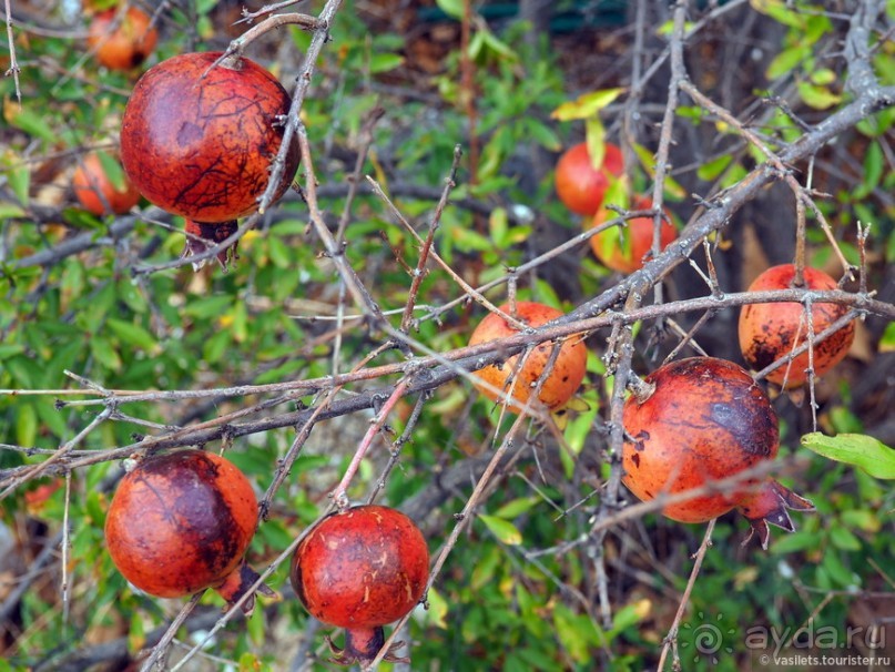 На часок в Республику Сербску