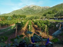 На часок в Республику Сербску