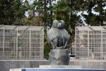 Абхазский несезон — какой он?