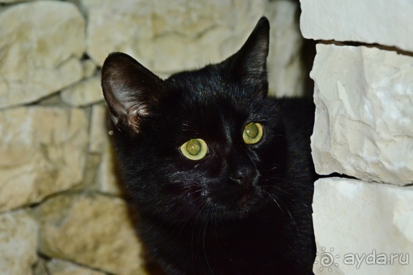 Абхазский несезон — какой он?