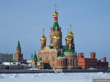 Альбом истории "Где живет Йошкин кот"