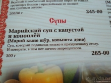 Где живет Йошкин кот