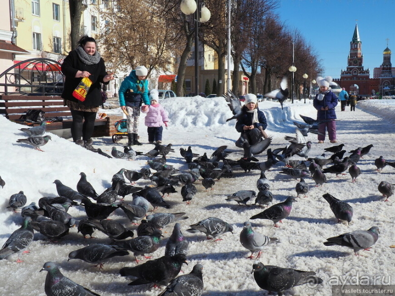 Где живет Йошкин кот