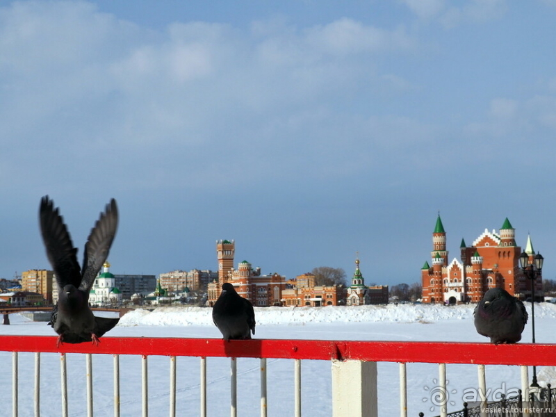 Где живет Йошкин кот