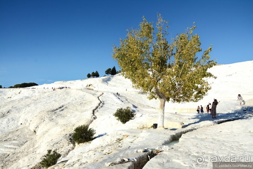 «Хлопковое» чудо в камне — Памуккале
