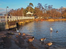 Суомская столица — там русский дух