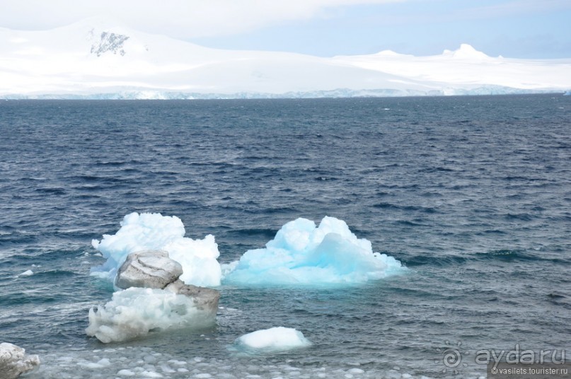 Как не хватает Антарктиды...