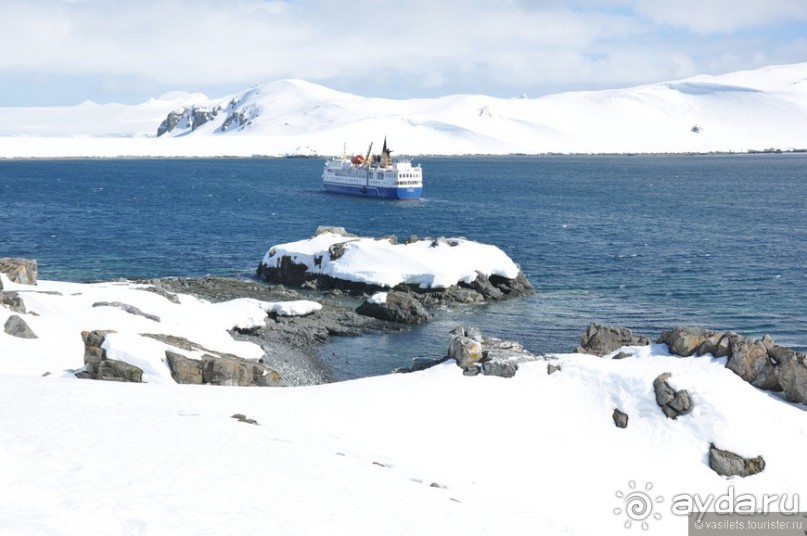 Как не хватает Антарктиды...