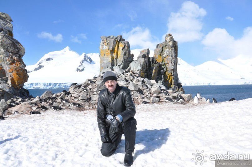 Как не хватает Антарктиды...