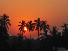 Гоа прекрасен, но Арамболя лучше избегать