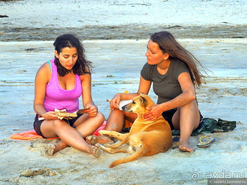 Гоа прекрасен, но Арамболя лучше избегать