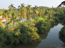Гоа прекрасен, но Арамболя лучше избегать
