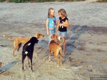 Гоа прекрасен, но Арамболя лучше избегать