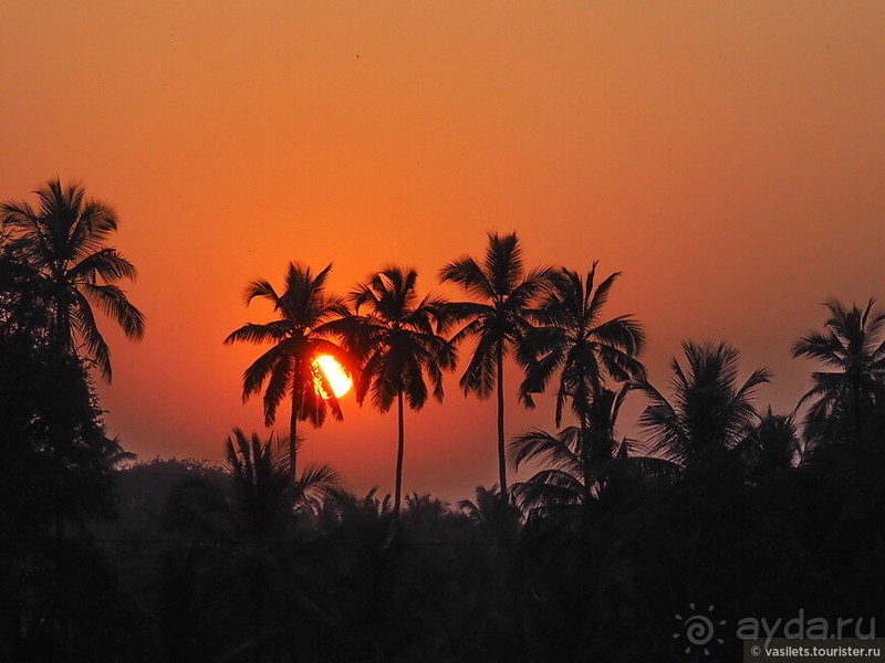 Гоа прекрасен, но Арамболя лучше избегать Гоа прекрасен, но Арамболя лучше избегать