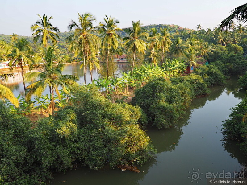 Гоа прекрасен, но Арамболя лучше избегать