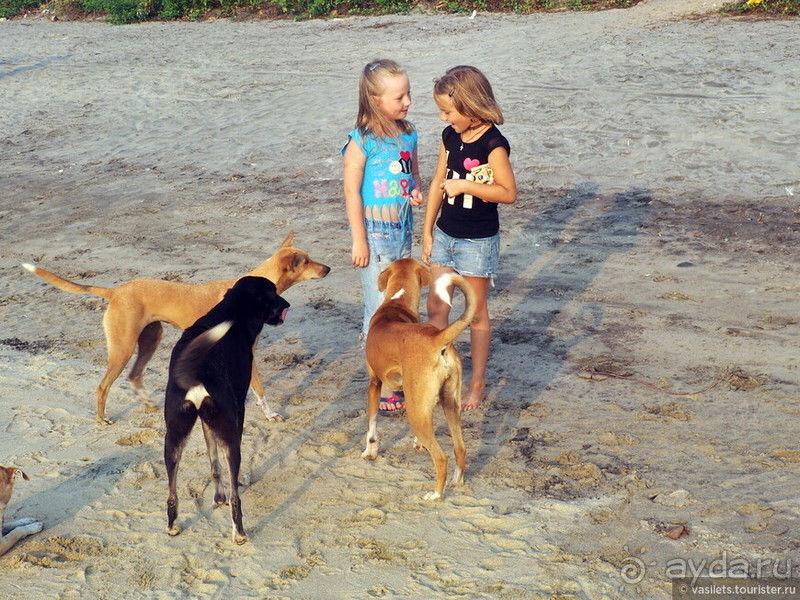 Гоа прекрасен, но Арамболя лучше избегать Гоа прекрасен, но Арамболя лучше избегать