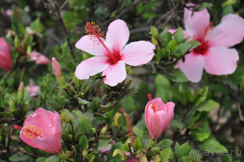 Побродим по Агадиру