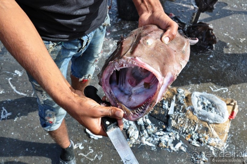 Побродим по Агадиру