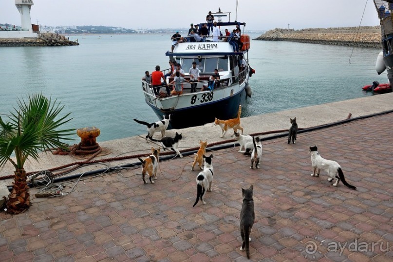 Побродим по Агадиру