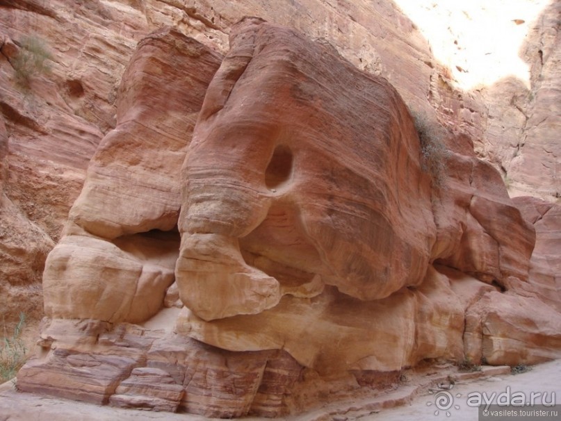 Петра перед новым годом