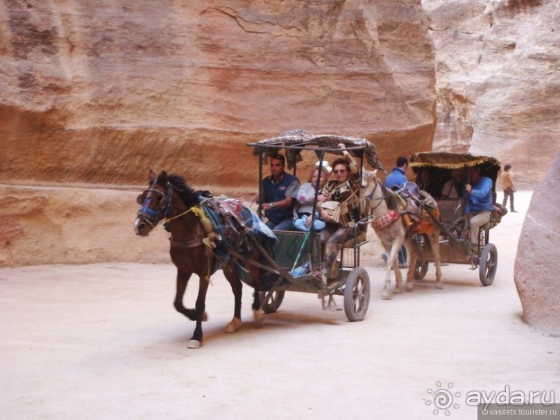 Петра перед новым годом