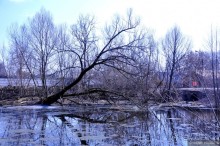 Гребнево и Помпеи - что общего?