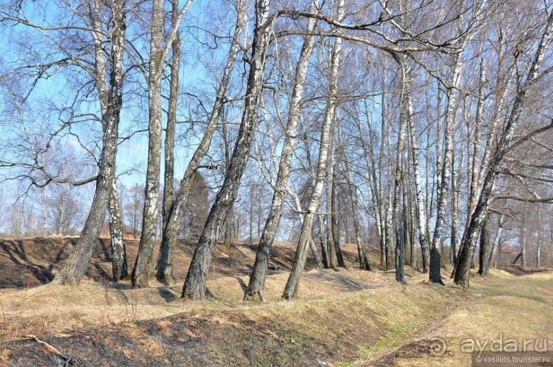 Гребнево и Помпеи - что общего?