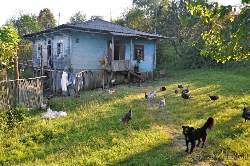 Грузия. В поисках своих корней