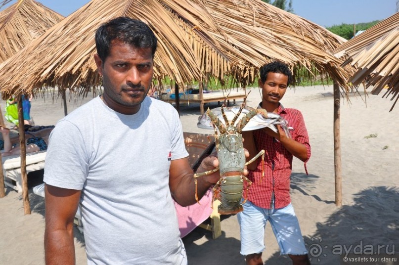 Суровая Гоанская зима