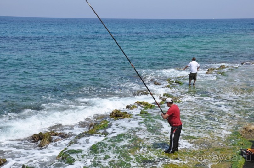 Кирения — там не был лишь ленивый