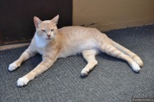 На Кипре нечего смотреть?!?