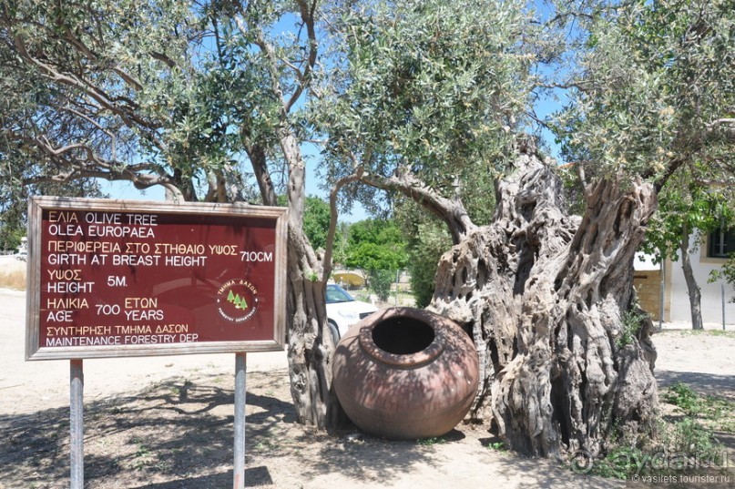 На Кипре нечего смотреть?!?