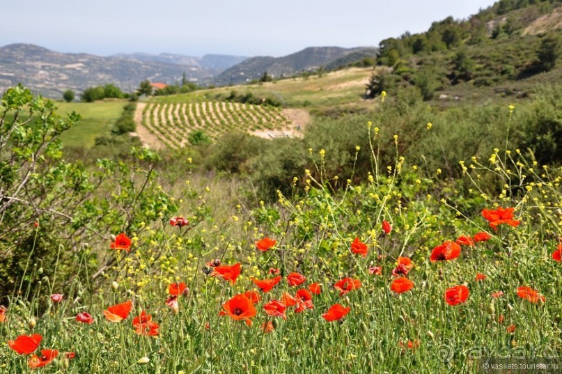 На Кипре нечего смотреть?!?