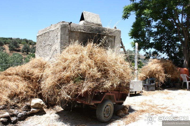 Гортина — критская глубинка