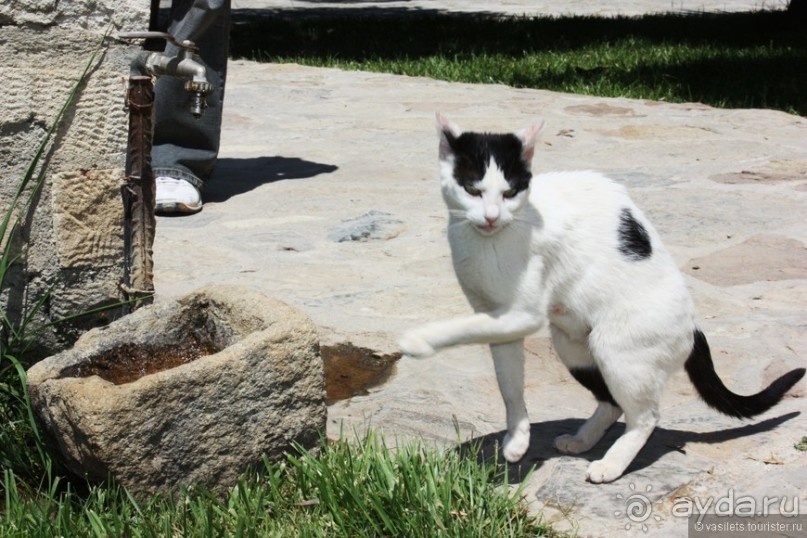 Гортина — критская глубинка