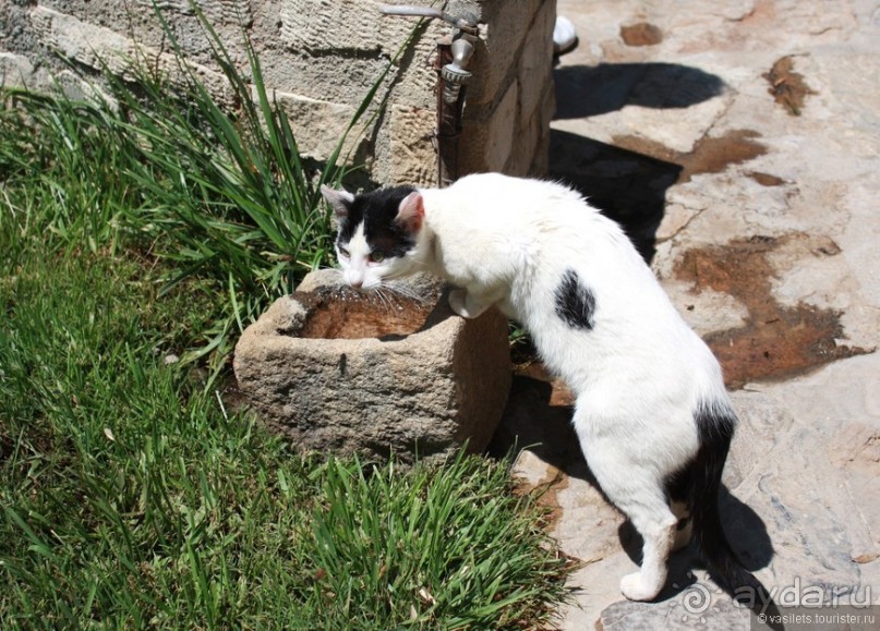 Гортина — критская глубинка