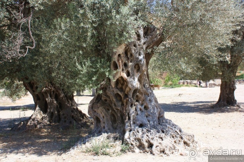 Гортина — критская глубинка