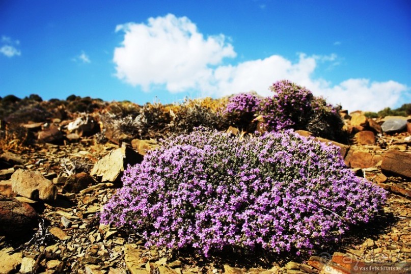 Гортина — критская глубинка