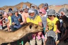 Альбом отзыва "Как не скучать в Хургаде"