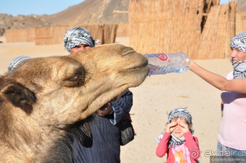 Альбом отзыва "Как не скучать в Хургаде"