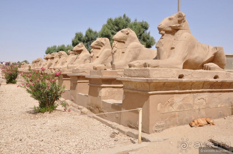 Альбом отзыва "Как не скучать в Хургаде"