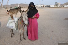 Как не скучать в Хургаде