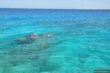 Как не скучать в Хургаде