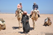 Альбом отзыва "Как не скучать в Хургаде"